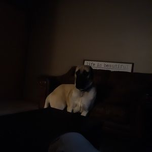 Meet your Posher, Steven